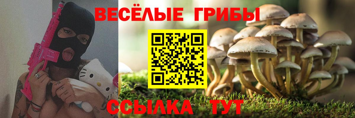 где купить наркотик  Псилоцибиновые грибы мицелий  Вход с VPN  Галлюциногенные грибы Psilocybine cubensis  Петропавловск-Камчатский 